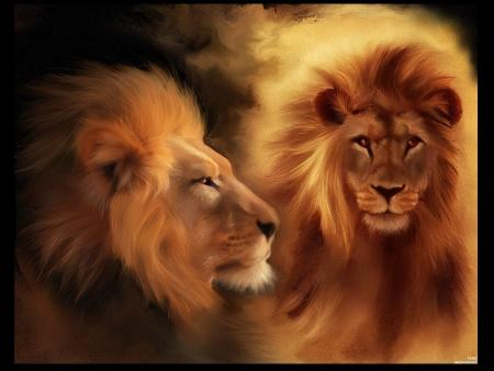 le lion le plus belle animal qui existe